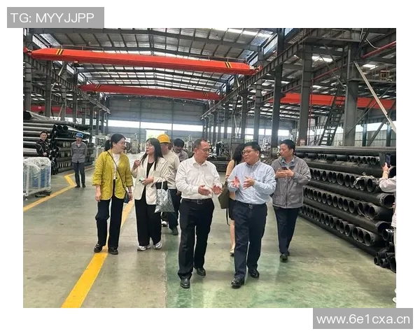 成都篮球队的转型之路：深度解析球队发展与未来展望