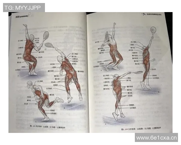 提升网球表现的科学灵活性训练方法与技巧分享 提升网球表现的科学灵活性训练方法与技巧分享